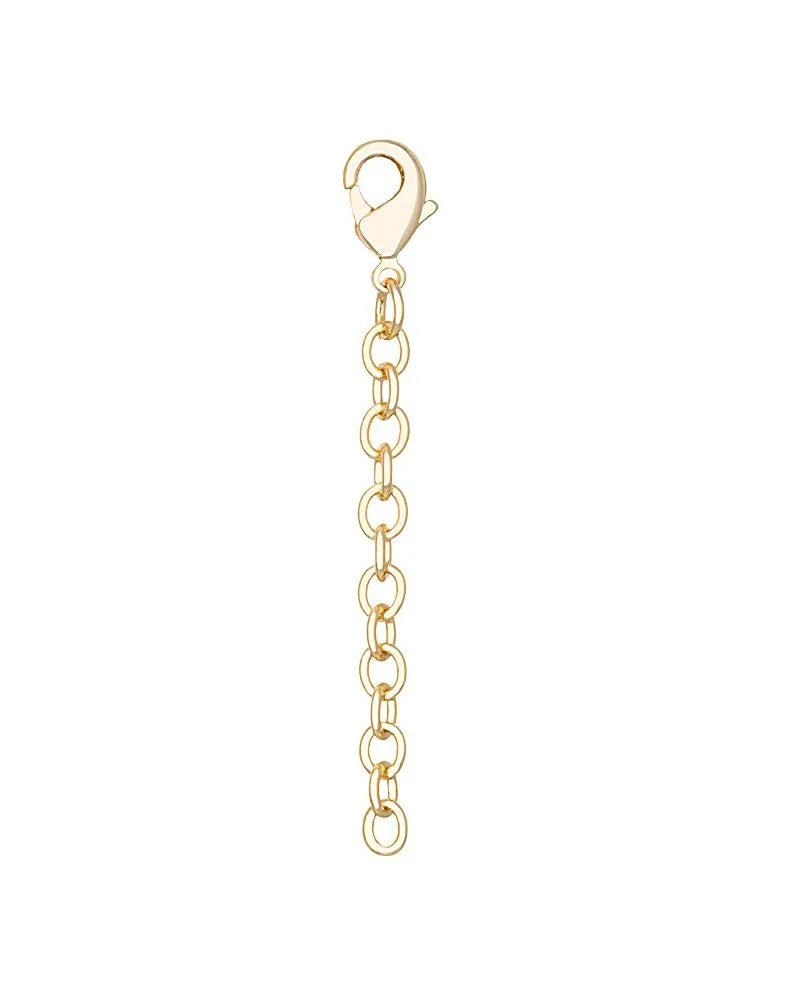 Necklace Extender 2" Lobster Clasp in Gold Metal (plated over brass) Main image