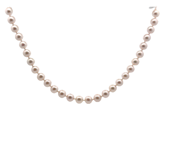 14K YG 7.5x8 Japanese Akoya Cultured Pearl Strand Necklace