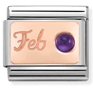 Stainless Steel & 9K Rose Gold February Amethyst Birthstone Charm Main image