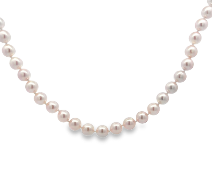 14K YG 7.5x7mm Japanese Akoya Cultured Pearl Strand Necklace