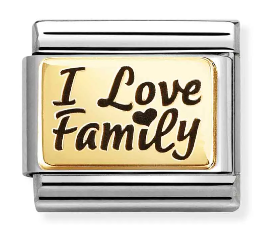 Stainless Steel & 18K Yellow Gold "I Love Family" Charm Main image