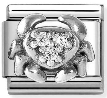 Stainless Steel & Sterling Silver Cancer Zodiac Charm with CZ