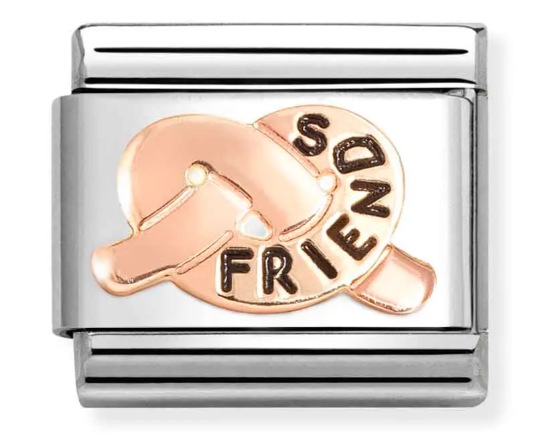 Stainless Steel & 9K Rose Gold Friends Knot Charm