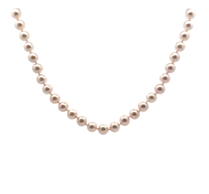 14K YG 8x8.5mm Japanese Akoya Cultured Pearl Stand Necklace