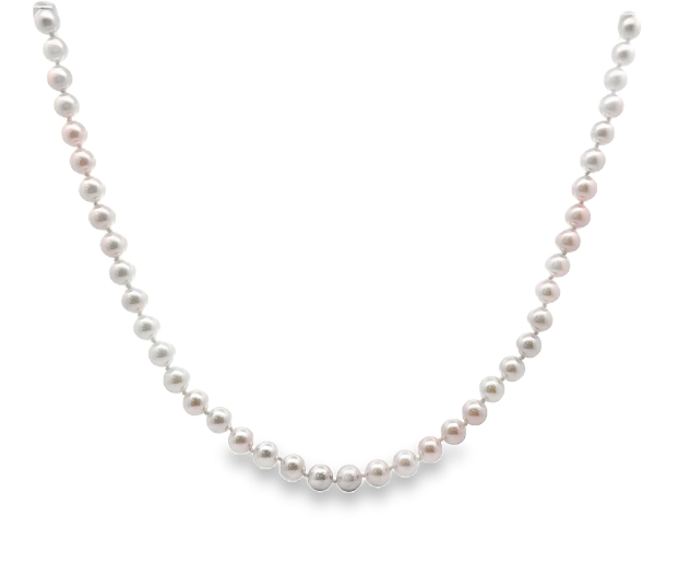14K YG 6x5.5 Japanese Akoya Cultured Pearl Strand Necklace