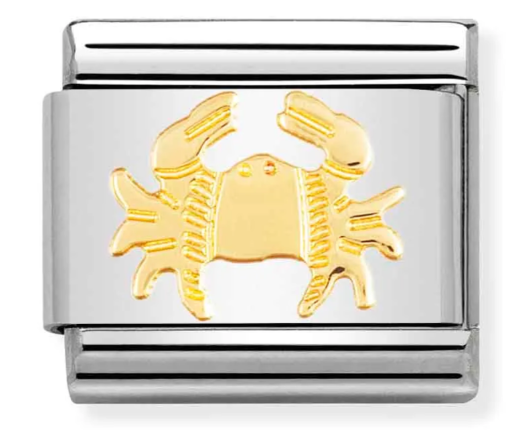 Stainless Steel & 18K Yellow Gold Cancer Zodiac Charm