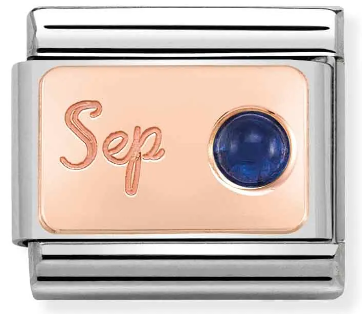 Stainless Steel & 9K Rose Gold September Sapphire Birthstone Charm