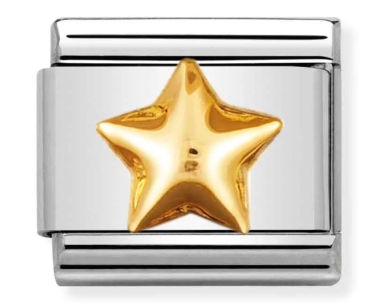 Stainless Steel & 18K Yellow Gold Raised Star Charm