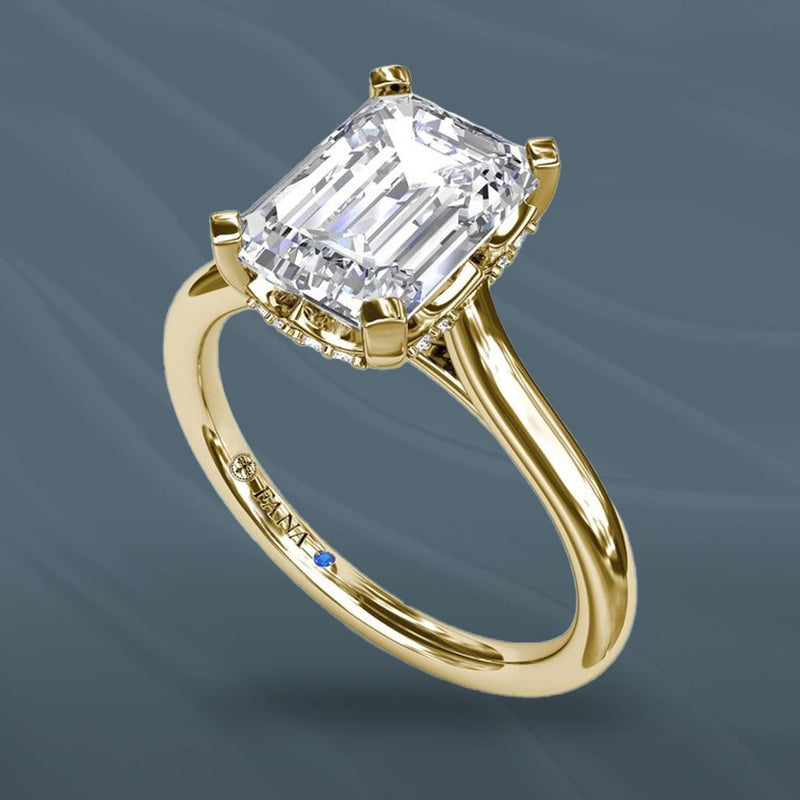 A Brilliant Beginning