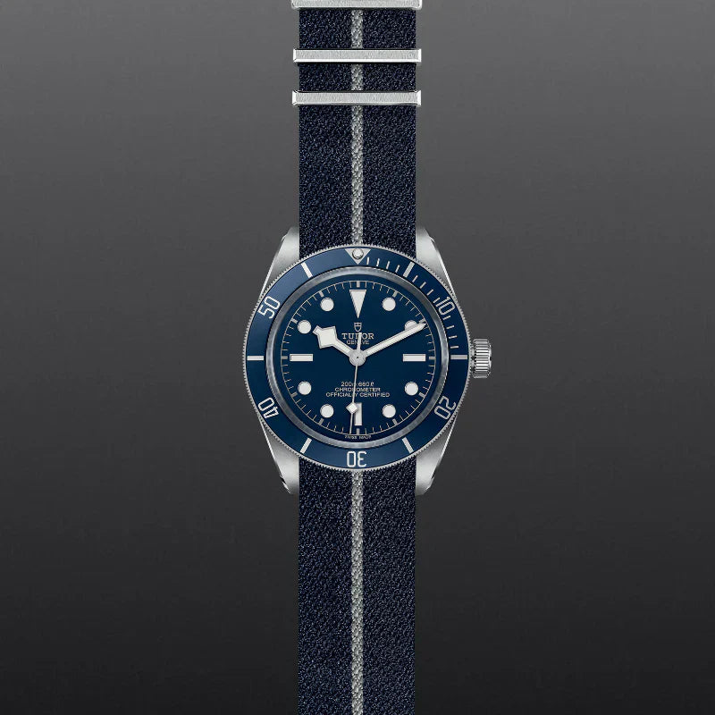 Black Bay 58 Secondary image