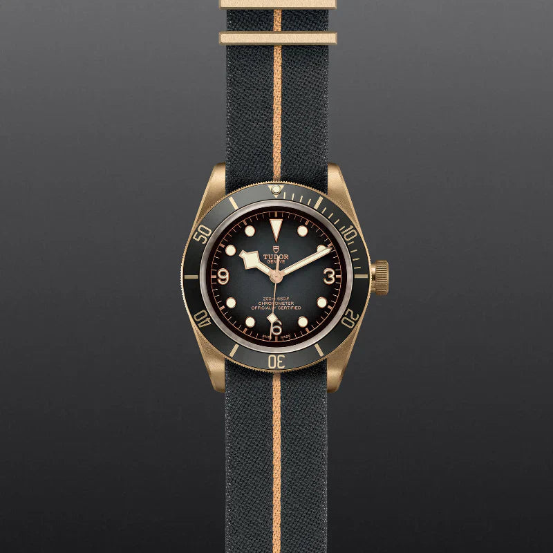 Black Bay Bronze Secondary image