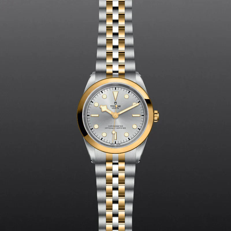 BLACK BAY ONE 41 S&G Secondary image