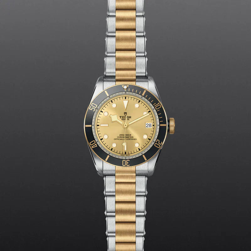 Black Bay S&G Secondary image