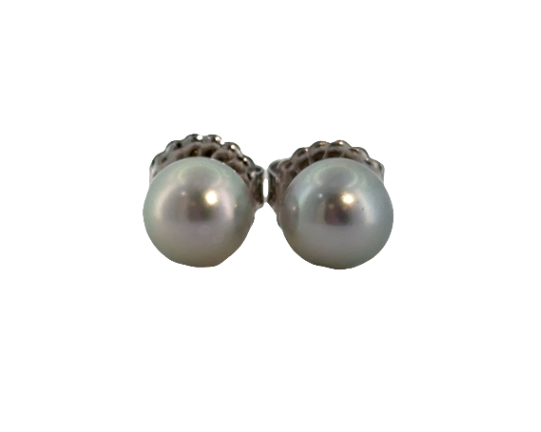 14K White Gold 7-8mm Gray Akoya Pearl Studs Main image