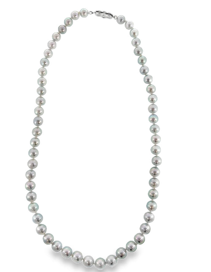 14K White Gold 7-8mm Gray Akoya Pearl Strand Main image